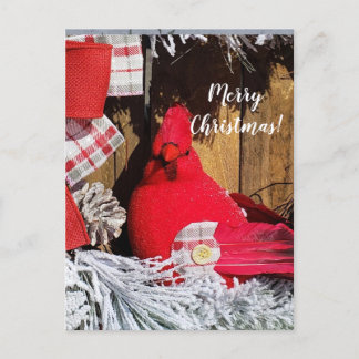 Vrolijk kerstkardinaal briefkaart