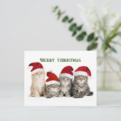 Vrolijk kerstkatten feestdagenkaart (Staand voorkant)