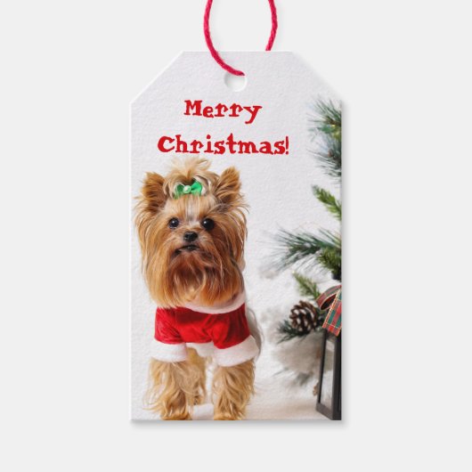 Vrolijk kerstkerstkerstkerstkerstkerstkerstkerstfe cadeaulabel (Voorkant)