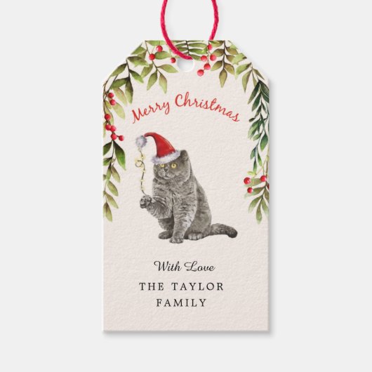 Vrolijk Kerstmis Britse Korthaar Kat Liefhebbers Cadeaulabel (Voorkant)