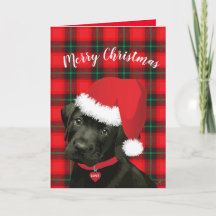 Vrolijk Kerstmis Leuke Puppy met Santa Hat Liefde