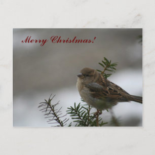 Vrolijk kerstmus! feestdagenkaart