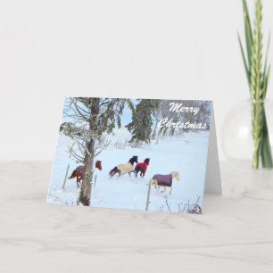 Vrolijk kerstpaard Kaarten