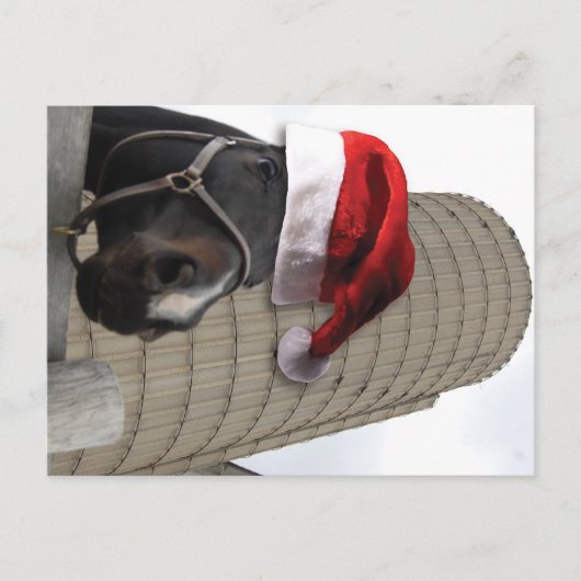 Vrolijk kerstpaard met kerstman feestdagenkaart (Voorkant)