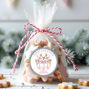 Vrolijk Kerstrendier gepersonaliseerde naam Ronde Sticker