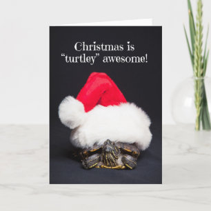 Vrolijk kerstschildpad in een Santa Hat Humor Feestdagen Kaart