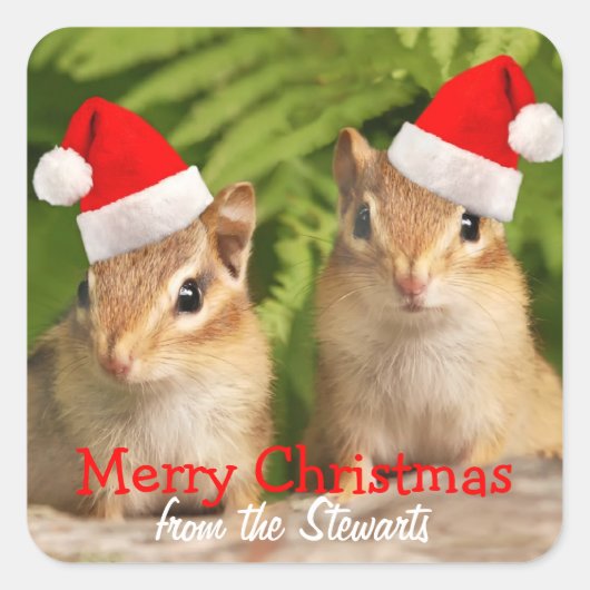Vrolijk kerstvierkant labels met Baby Chipmunks (Voorkant)