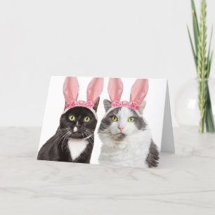Vrolijk Paasjaar twee katten in Bunny Ears Humor Feestdagen Kaart