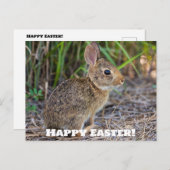 Vrolijk Pasen. Briefkaart (Voorkant / Achterkant)