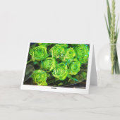 Vrolijk Pasen, Carte de Pâques Néerlandaise, Roses (Dos)