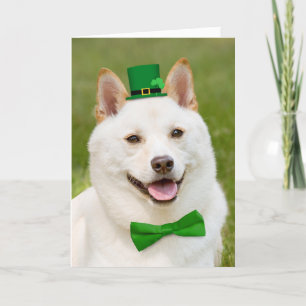 Vrolijk St Patrick's Day Iedereen Shiba Inu Dog Feestdagen Kaart