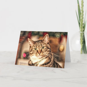 Vrolijk Weinig Kaart van het Kat van Kerstmis