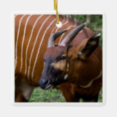 Vrolijke berg Bongo Antelope! Keramisch Ornament (Voorkant)