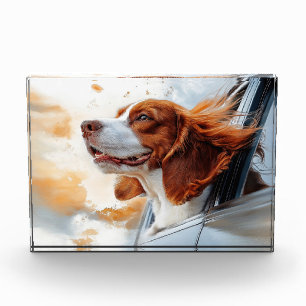 Vrolijke Hond in de Wind Kunstprint Fotoblokken