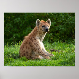 Vrolijke hyena te midden van groen poster