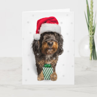 Vrolijke kerst Bernedoodle Hond in Santa Hat Feestdagen Kaart