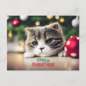 Vrolijke Kerst Leuke Kat met Blauwe Ogen Feestdagenkaart (Voorkant)