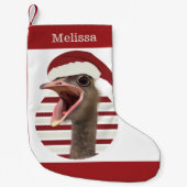Vrolijke kerst struisvogel met kerstmuts kleine kerstsok (Voorkant)