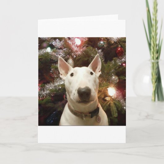 vrolijke Kerstmis Feestdagen Kaart (Voorkant)