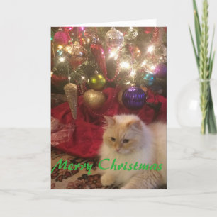 Vrolijke Kerstmis Feestdagen Kaart