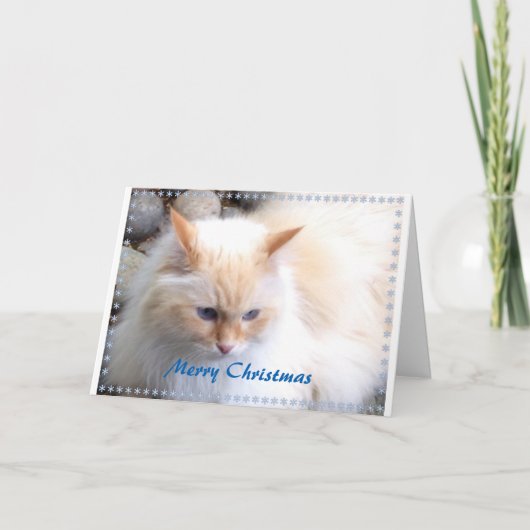 Vrolijke Kerstmis Feestdagen Kaart (Voorkant)