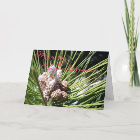 Vrolijke Kerstmis… Feestdagen Kaart (Voorkant)