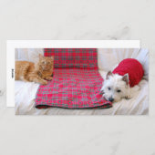 Vrolijke Kerstmis Feestdagenkaart (Voorkant / Achterkant)