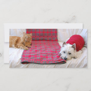 Vrolijke Kerstmis Feestdagenkaart