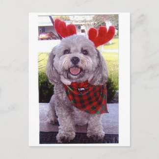 Vrolijke Kerstmis Feestdagenkaart