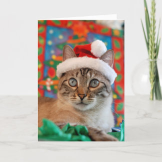 Vrolijke Kerstmis Meowy van de Kerstman van het Feestdagen Kaart