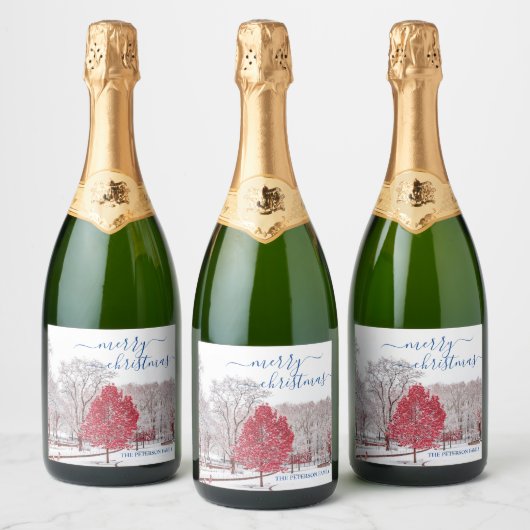 Vrolijke Kerstmis Mousserende Wijn Flesetiketten Sparkling Wijnetiket (Flessen)