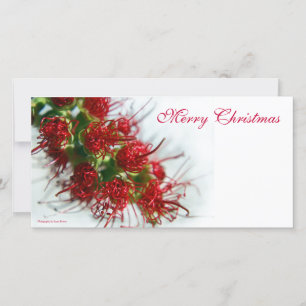 Vrolijke Kerstmis Photocard Feestdagenkaart