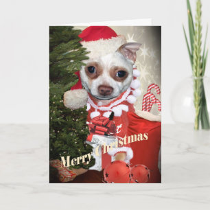 Vrolijke Kerstmis van Chihuahua Feestdagen Kaart