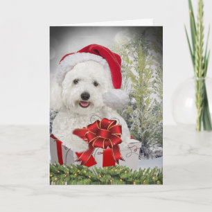 Vrolijke Kerstmis van Frise van Bichon Feestdagen Kaart