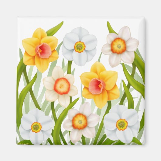 Vrolijke lente Daffodils Magnet Square Magneet (Voorkant)