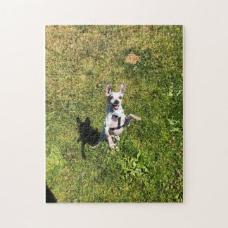 vrolijke parelpuzzel legpuzzel