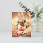 Vrolijke Pug van Kerstmis Feestdagenkaart (Staand voorkant)