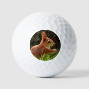 vrolijke rode eekhoorn golfballen