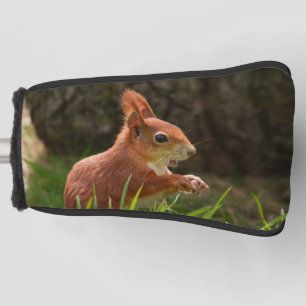 vrolijke rode eekhoorn golfheadcover