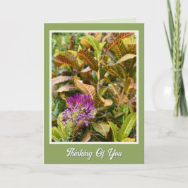 Vrolijke Snel Herstel Denk Aan Jou Kaart