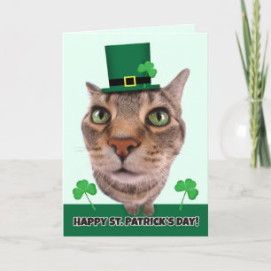 Vrolijke St. Patrick's Day for Iedereen Cat Humor Feestdagen Kaart