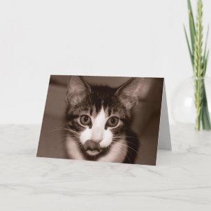 Vrolijke verjaardag! kaart