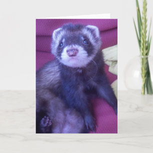 Vrolijke verjaardag! kaart