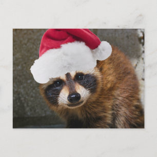 Vrolijke wasbeer Kerstmis Feestdagenkaart