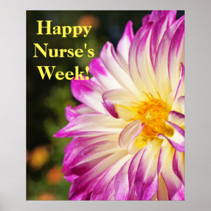 Vrolijke zuster Week! posters prints Nurse RN