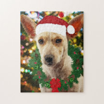 Vrolijkheid voor jou Puppy