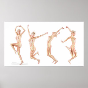 Vrouw Anatomie Poster