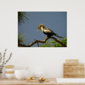 Vrouw Anhinga voor bijkantoor Poster (Keuken)