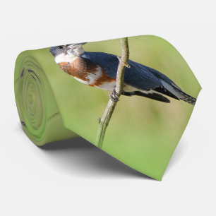 Vrouw Belted Kingfisher op een ledemaat Stropdas