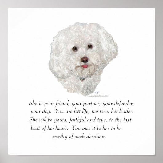 Vrouw Bichon Frise Keepomwille Poster (Voorkant)